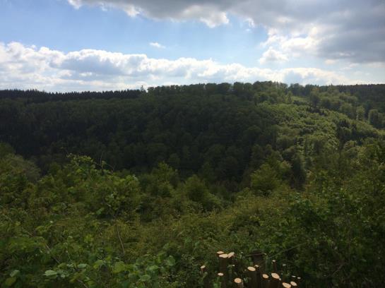 Отель Wartburg Winterberg