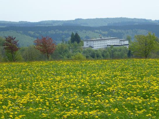 Отель Wartburg Winterberg
