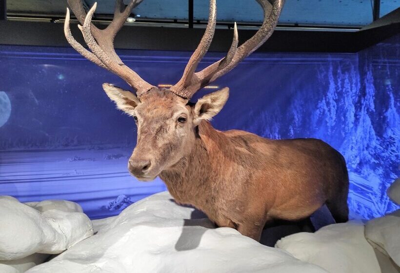 Wellness Hotel Garni Krone