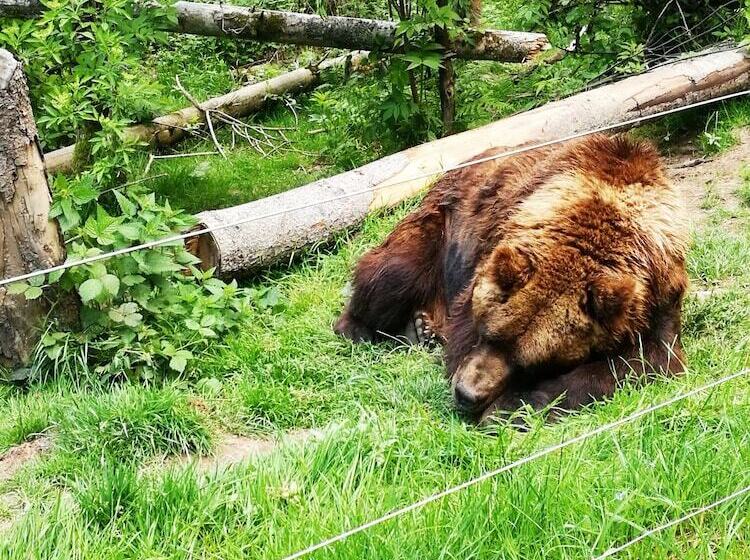 Wellness Hotel Garni Krone