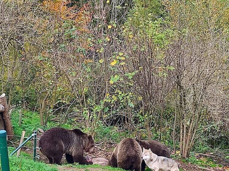 Wellness Hotel Garni Krone