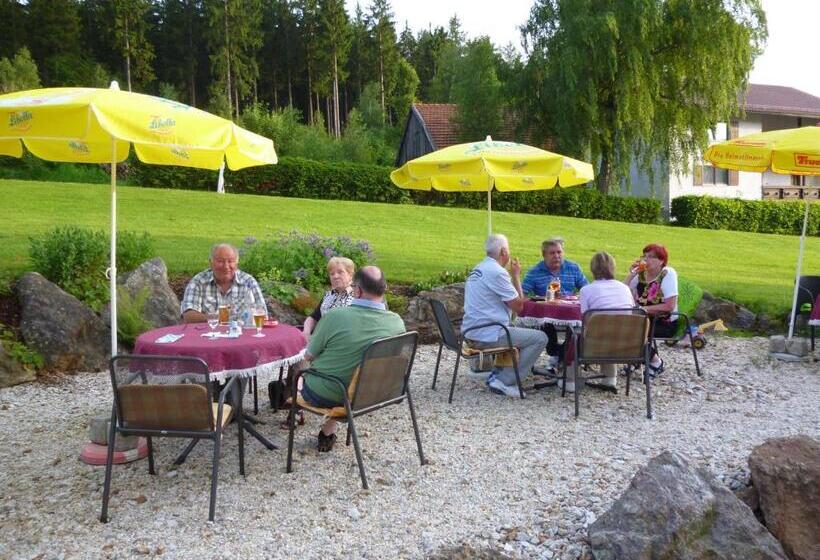 Wellness  Und Wohlfühlhotel Waldeck
