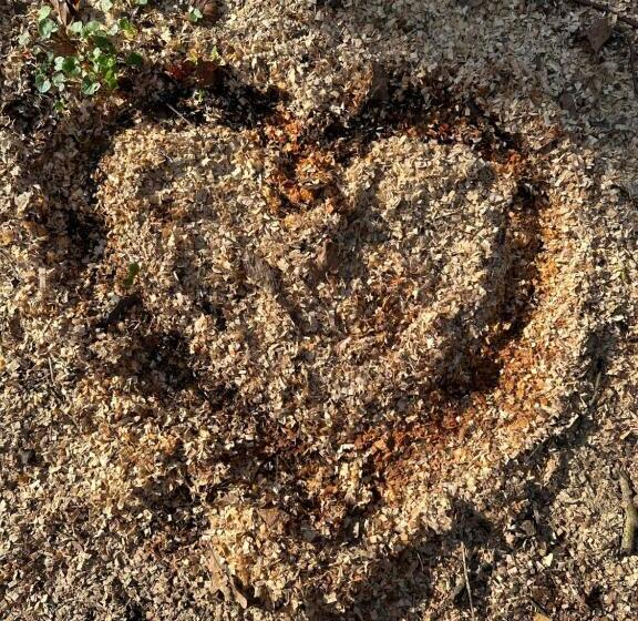 호텔 Wittekindsquelle