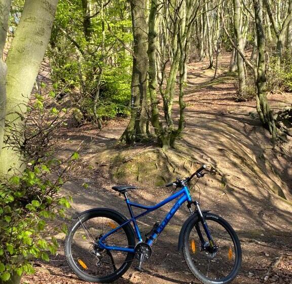 호텔 Wittekindsquelle