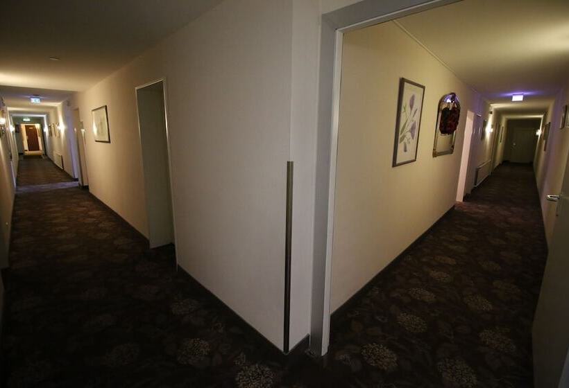 فندق Zum Adler  Superior