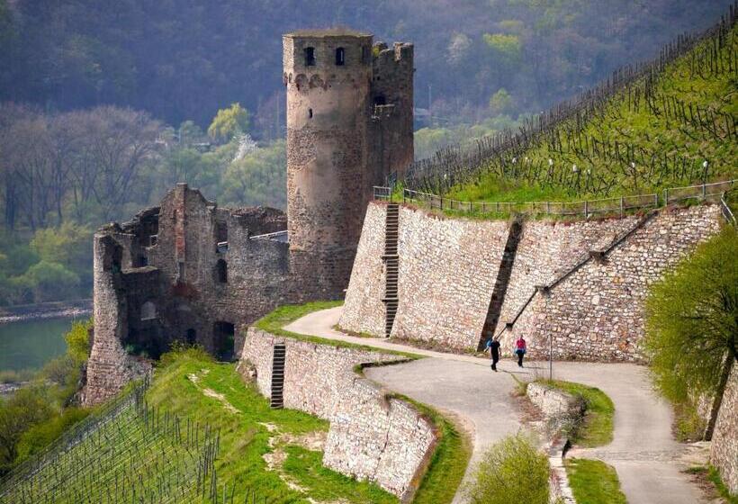 בית מלון כפרי Zum Bären