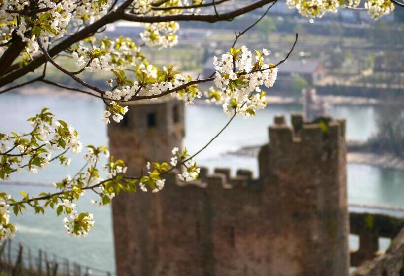 בית מלון כפרי Zum Bären