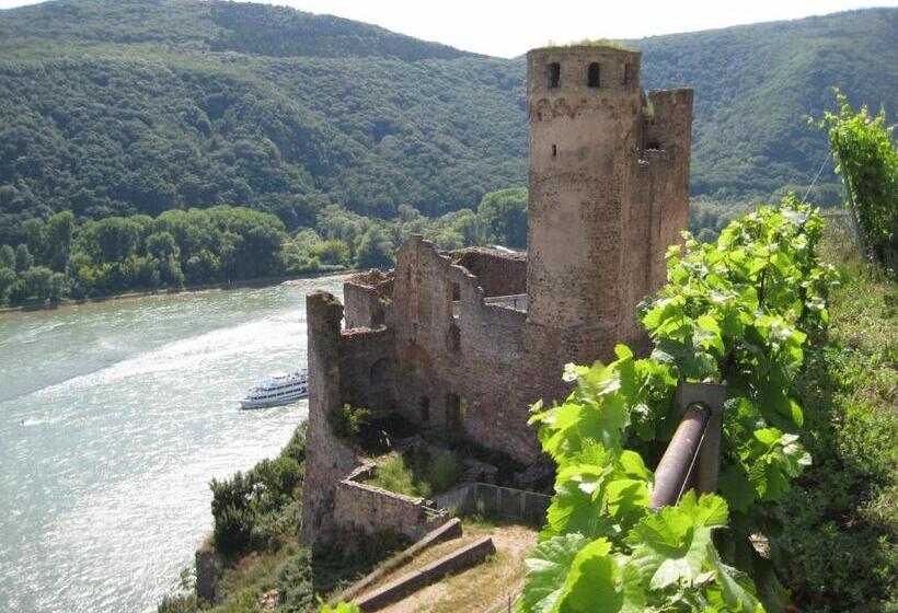 בית מלון כפרי Zum Bären