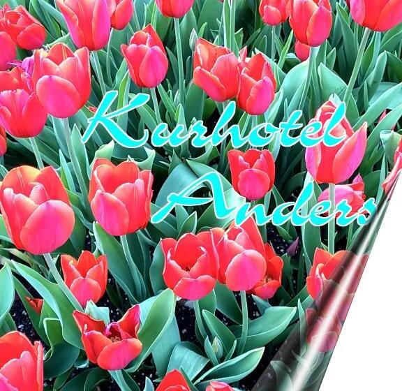 Kurhotel Anders