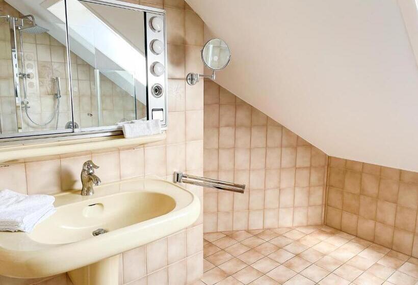 Panorama Hotel Rheinkrone