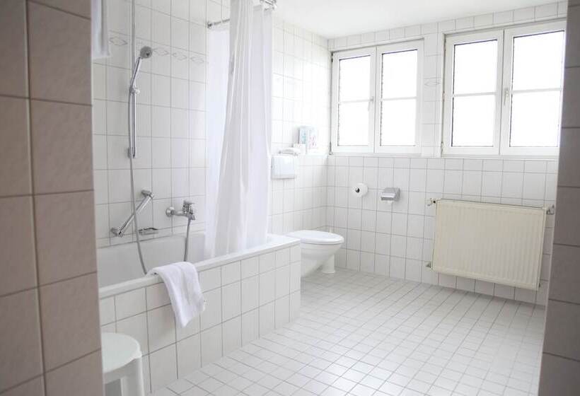 بنسيون Brauereigasthof/hotel Bürgerbräu