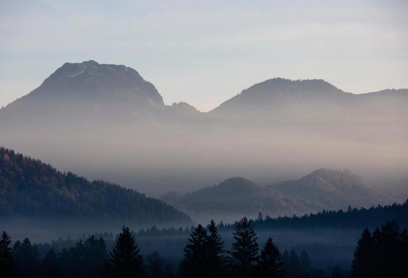 Пансион Gästehaus Maria Theresia Garni