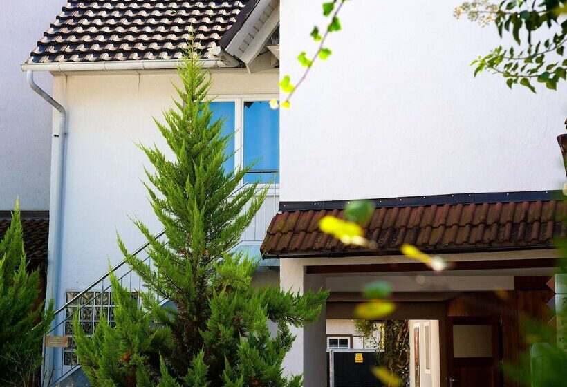 بنسيون Gastehaus Parkblick