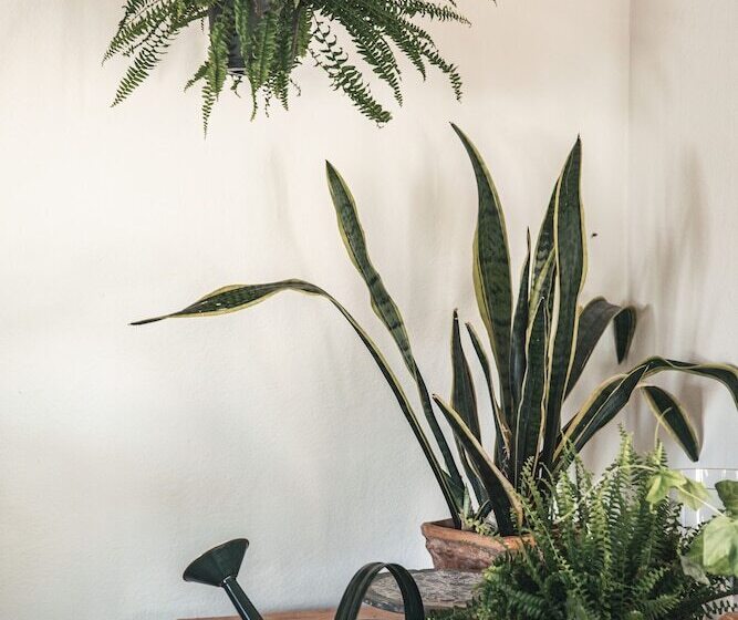 ペンション Suiten Zantl