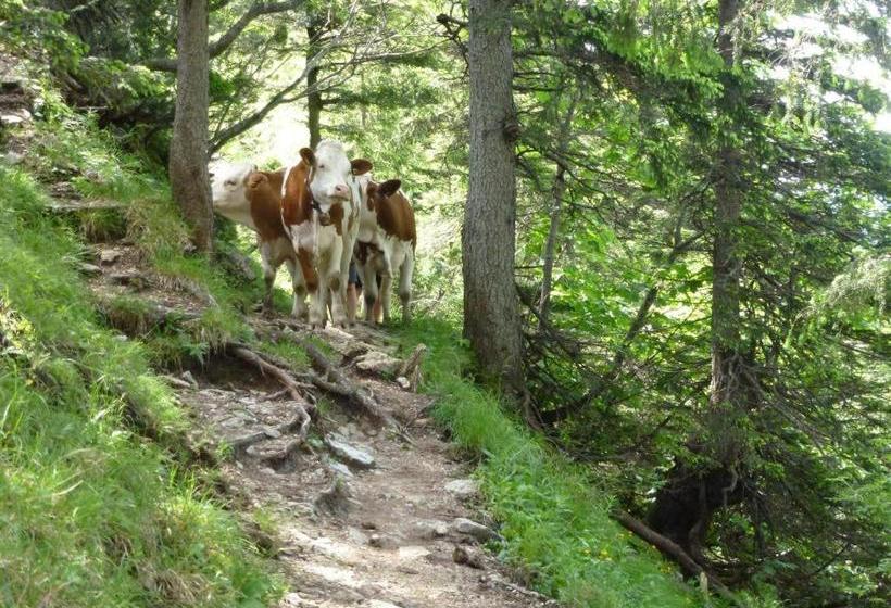 פנסיון Gästehaus Sonnenkreis