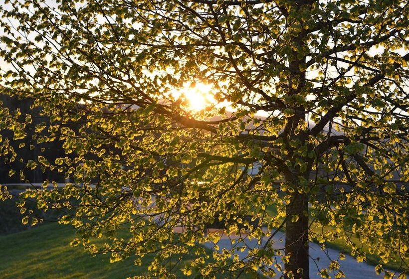 Wellness Und Vitalhotel Böhmhof