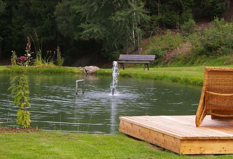 Wellness Und Vitalhotel Böhmhof