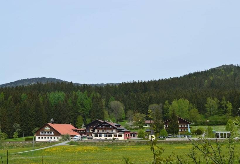 Wellness Und Vitalhotel Böhmhof