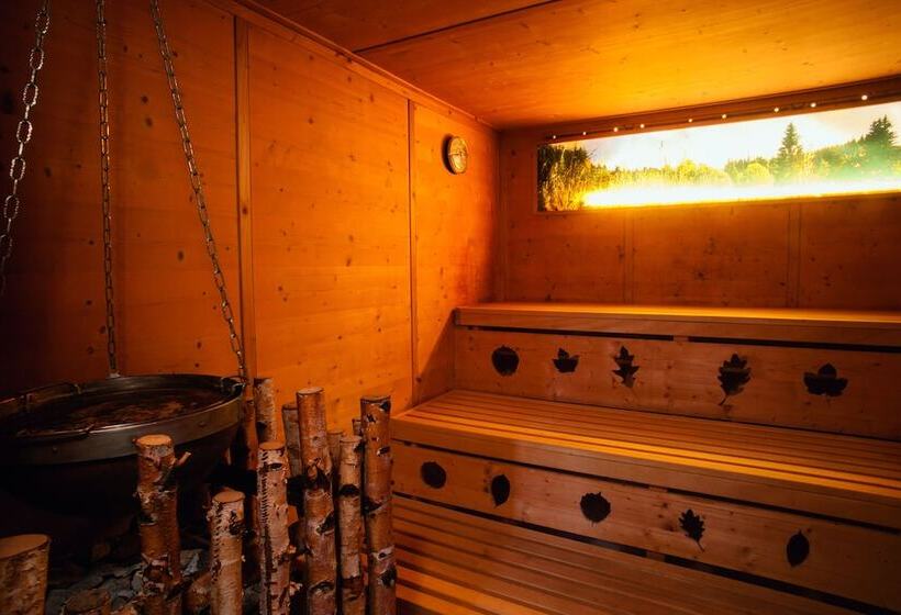 Wellness Und Vitalhotel Böhmhof