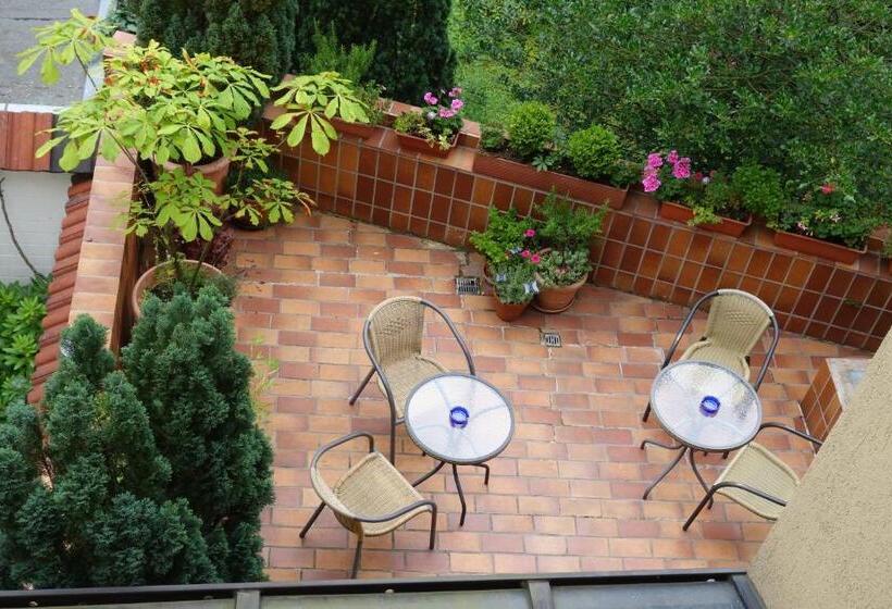 Bed and Breakfast Pension Am Helenenwall