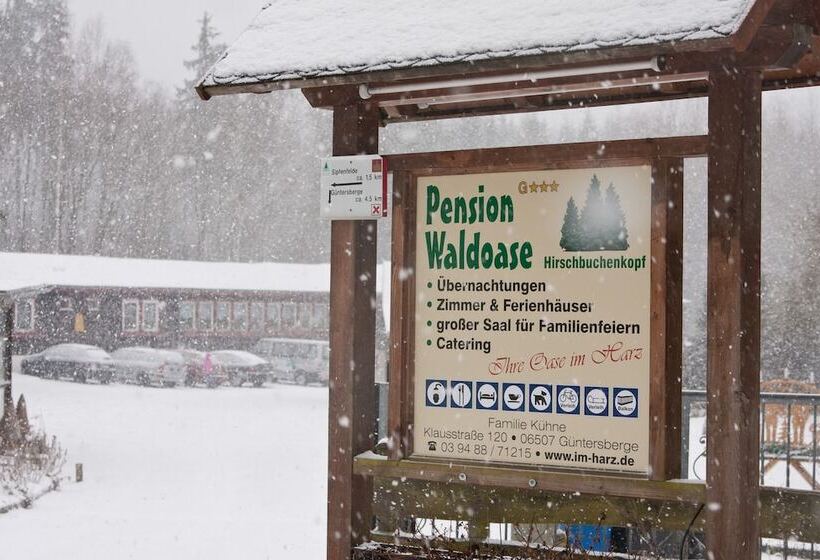 Bed and Breakfast Waldoase Hirschbüchenkopf
