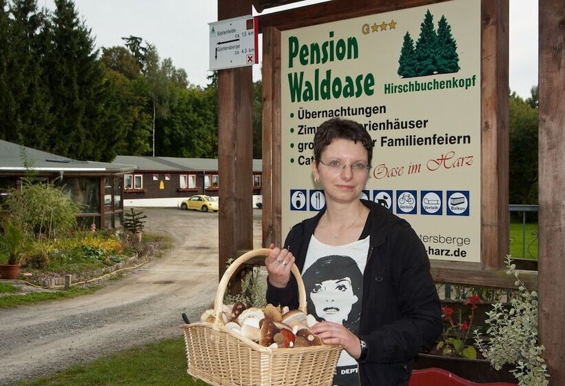 Bed and Breakfast Waldoase Hirschbüchenkopf