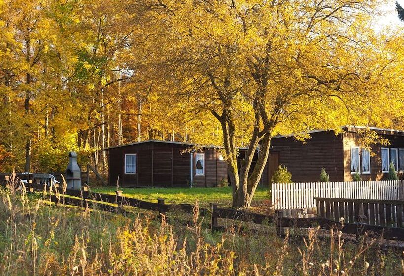 Bed and Breakfast Waldoase Hirschbüchenkopf