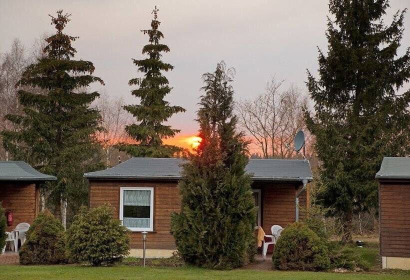 Bed and Breakfast Waldoase Hirschbüchenkopf