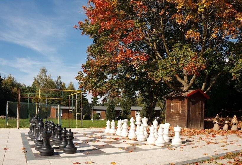 Bed and Breakfast Waldoase Hirschbüchenkopf