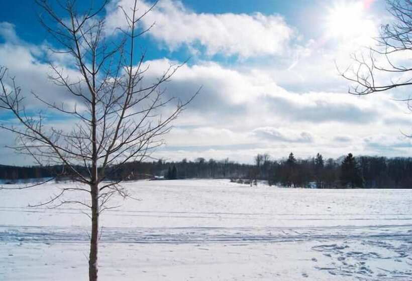 Harzhotel Güntersberge