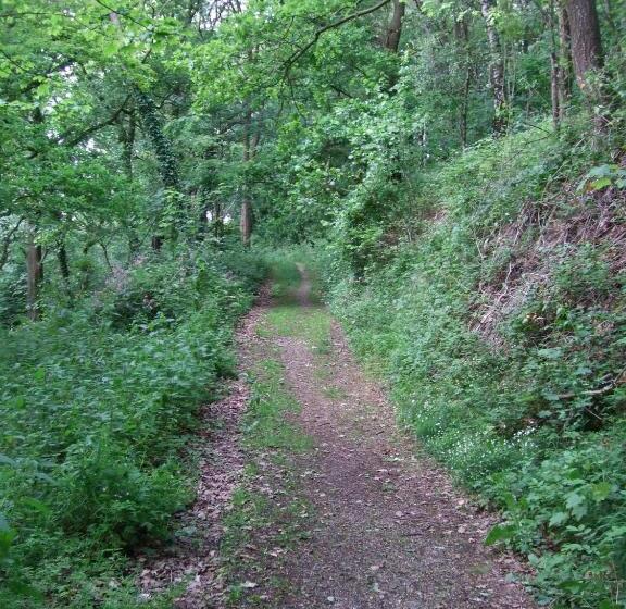 Parkhotel Hammerberg