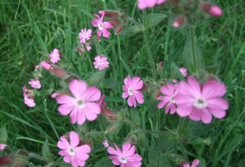 Parkhotel Hammerberg