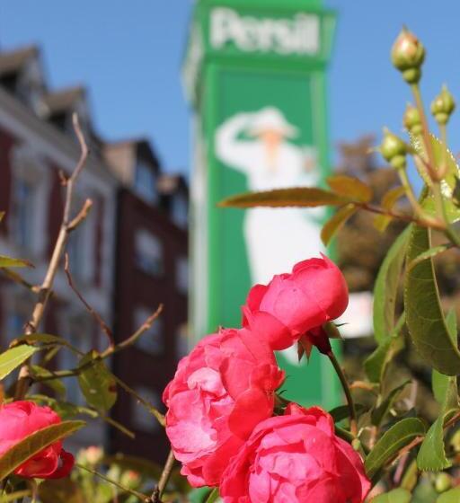 בית מלון כפרי An Der Persiluhr Stadt Gut