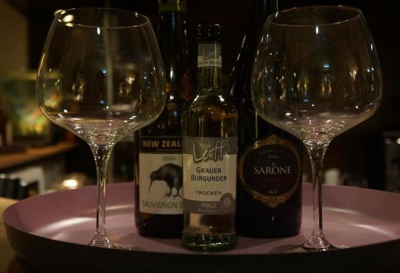 호텔 Binnewies City