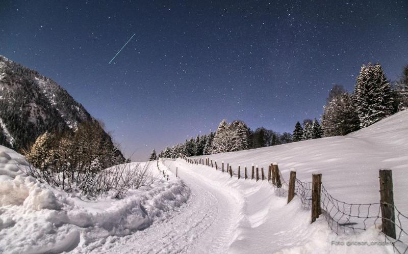 Отель Blaue Gams S