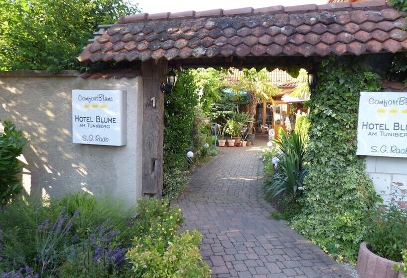 בית מלון כפרי Blume