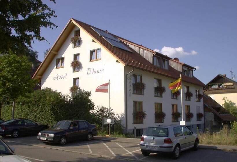 בית מלון כפרי Blume