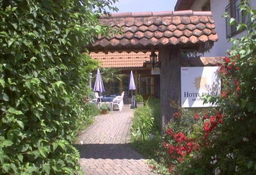 בית מלון כפרי Blume