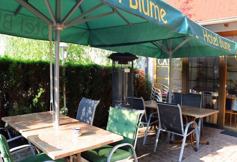 בית מלון כפרי Blume