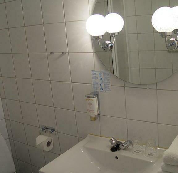 فندق Brauner Hirsch