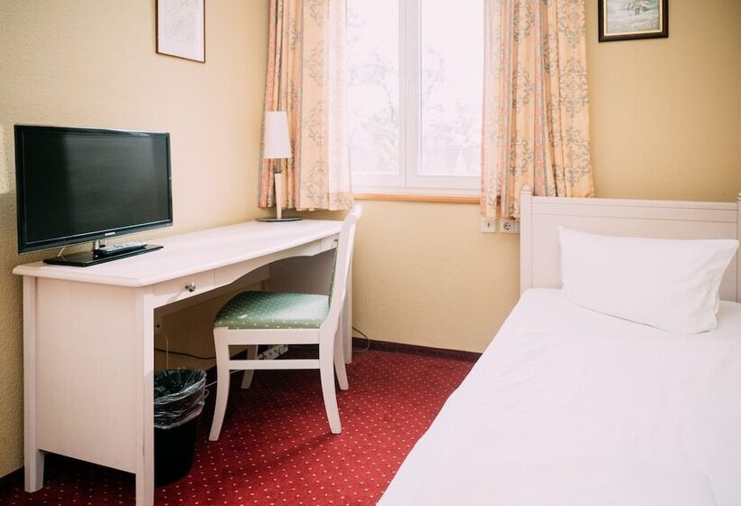 ホテル Elbterrasse Wörlitz