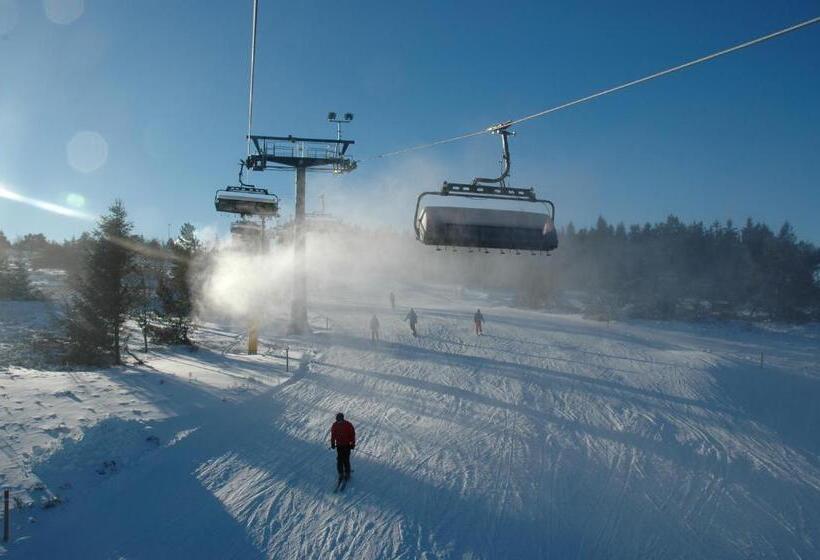 酒店 & Ferienappartements Edelweiss