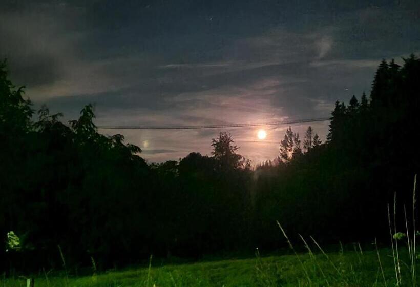 酒店 & Ferienappartements Edelweiss