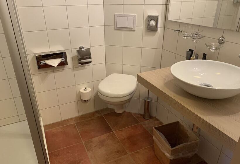 בית מלון כפרי Goldner Löwe