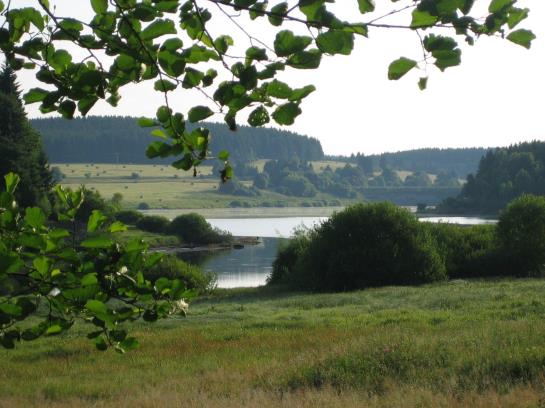 فندق Grüne Tanne Mandelholz