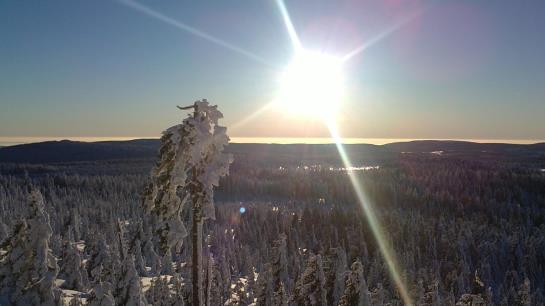 فندق Grüne Tanne Mandelholz