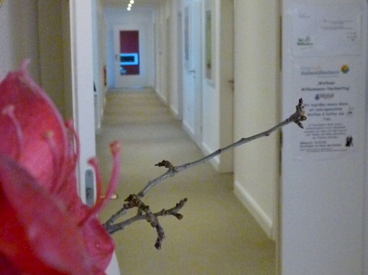 فندق Haus Sonnenschein