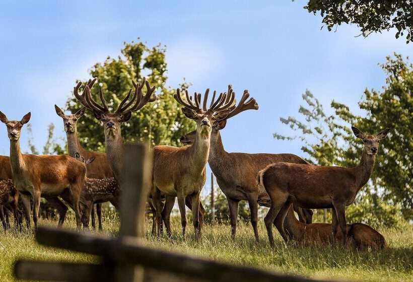 Natur Und Wohlfühlhotel Kastenholz