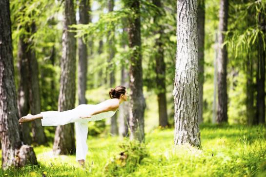 فندق Kneippianum