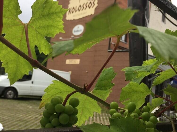 호텔 Kolossos Düsseldorf   Neuss